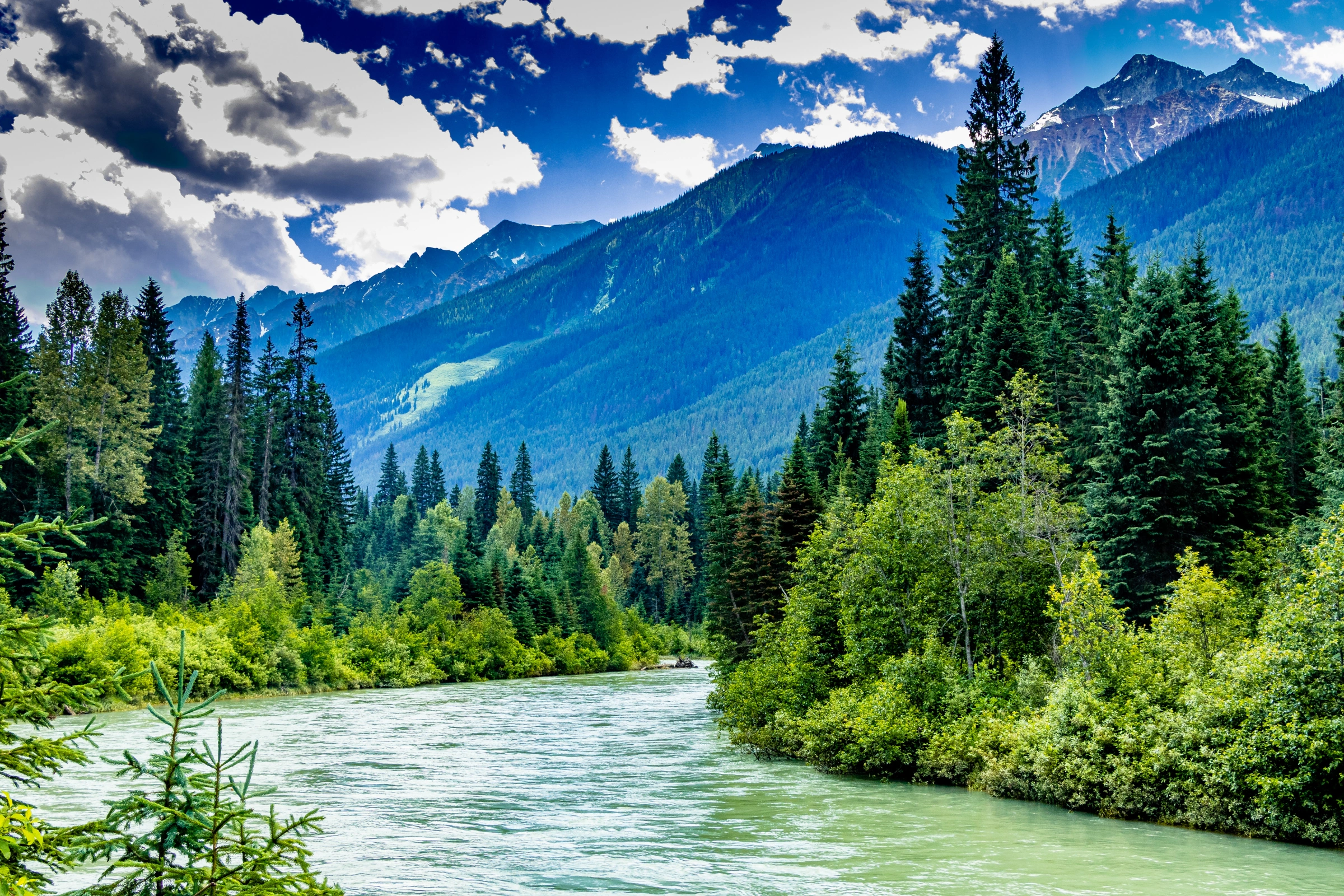 Glacier_National_Park,_British_Columbia[1].webp